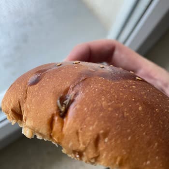 A101 Marketten Alınan Ekmekte Sinek Bulundu