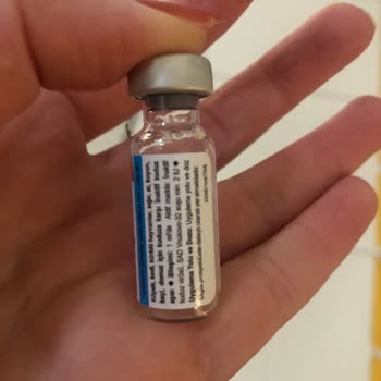 Orca Veteriner Yavru Kedim İçin Veteriner Hüsranı