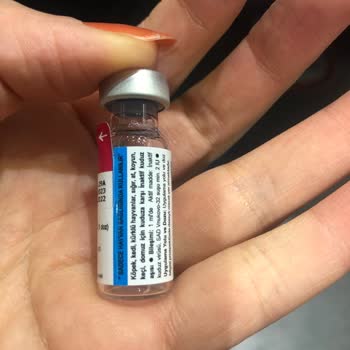 Orca Veteriner Yavru Kedim İçin Veteriner Hüsranı