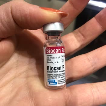 Orca Veteriner Yavru Kedim İçin Veteriner Hüsranı