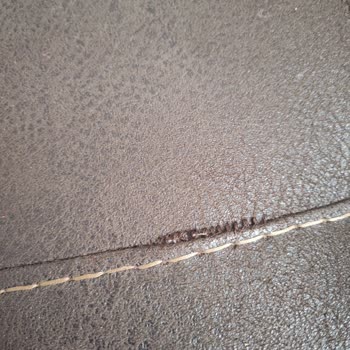 Medusa Home Medusa Mobilya Kalitesizliği