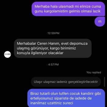 Hoghheim Vurdumduymaz Ve Hiç Profesyonel Değil