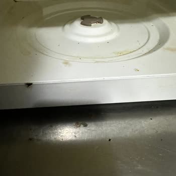 Samsung Microdalga Fabrikasyon Hatayı Değiştirmiyor