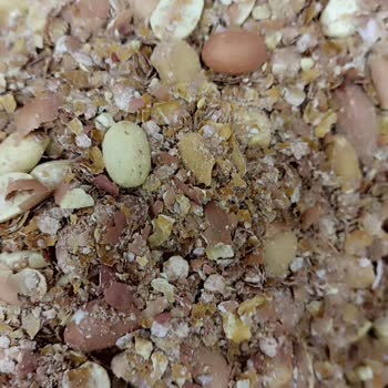 Makbul Çalışan Yetkili Olduğunu İddia Eden Bayağı Ve Satılan Karışık Cerez