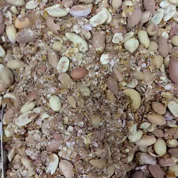 Makbul Çalışan Yetkili Olduğunu İddia Eden Bayağı Ve Satılan Karışık Cerez