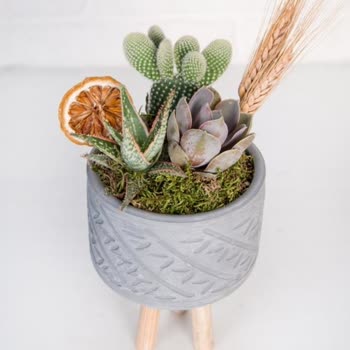 Çiçek Sepeti Mağduriyeti Ve İlgisizliği