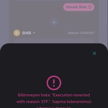 Pancakeswap te coini satamıyorum