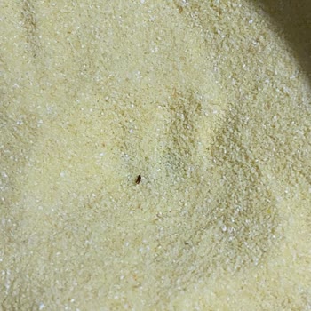 BİM Durum Buğdayı İrmiğinden Böcek Çıktı!