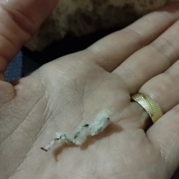 BİM Ekmeğin İçinde Tel Çıktı