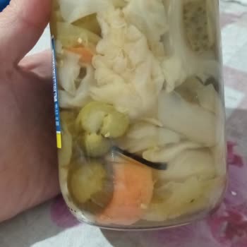 Bizim Vatan Şoktan Aldığımız Karışık Turşudan Cam Parçası Çıktı