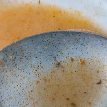 Kredi Ve Yurtlar Kurumu Yemeğinde Sinek