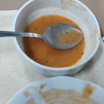 Kredi Ve Yurtlar Kurumu Yemeğinde Sinek