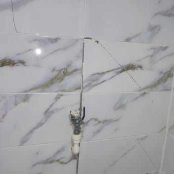 DASK (Doğal Afet Sigortaları Kurumu) Ekspertiz Talep Ediyorum