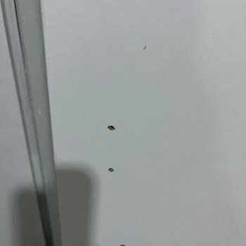 Mobilique Kusurlu Ve Kırık Ürün Gönderdiler