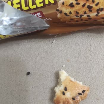 Ülker Taşa Benzen Bir Şeyin Çıkmadı