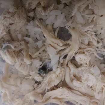 Komagene'den Tarihi Geçmiş Ve Siyah Tavuk