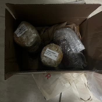 Amazon.com.tr Den Aldığımız Ballar Kırık Çıktı