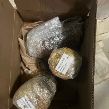 Amazon.com.tr Den Aldığımız Ballar Kırık Çıktı