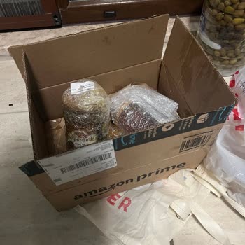 Amazon.com.tr Den Aldığımız Ballar Kırık Çıktı