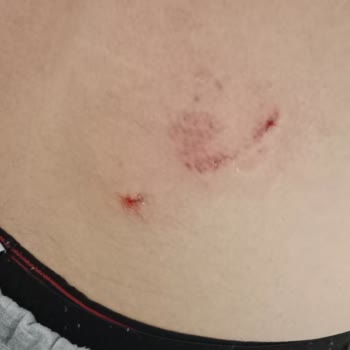 Konya Büyükşehir Belediyesi Başkanlığı İletişim Merkezi