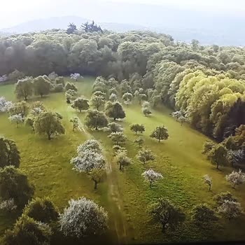 Vestel 55U9631 Smart TV Pişmanlığı.