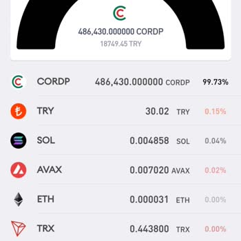 Bitay Ön Satış Aldığım Coin