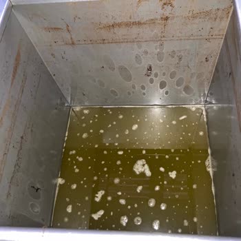 Tariş Zeytinyağı Zeytin Miktarımız Ve Zeytinyağımız Hatalı İşlemler