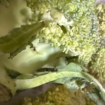 Migros'un Kurtlu Böcekli Küflü Sebzeleri