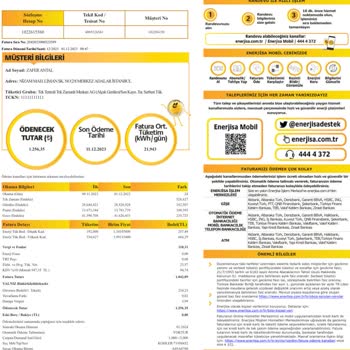 Enerjisa İstanbul Anadolu Yakası Elektrik Perakende Enerjisa AYESAŞ Boş Daireye 1256 TL Fatura Göndermiş
