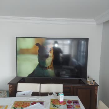 Vestel TV'de Tekrarlayan Ekran Arızası!