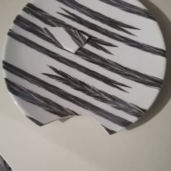 Digithome Mağazasının Sorumsuzluğu