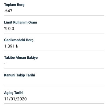 Findeks Hayali Gecikmede Görünen Borç