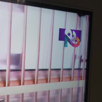 Sunny TV 49 İnc