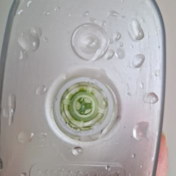 Brita Giderilemeyen Yosun Sorunu