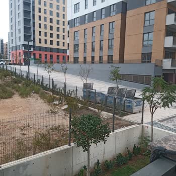 Mplus Grup Çöp Konteyneri Sorunu