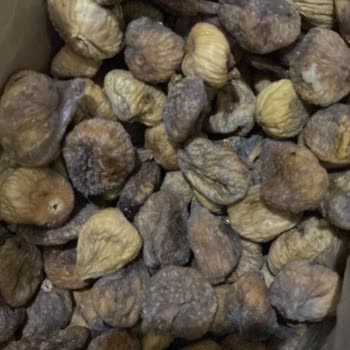 İncircenneti Kalitesiz Kuru İncir