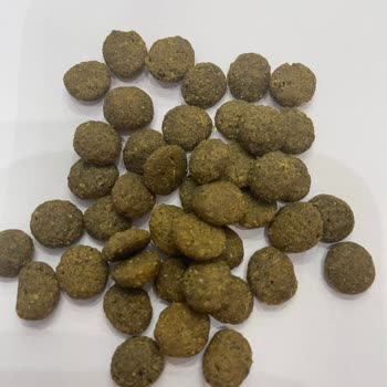 Farmina N&D Kedi Maması Bozuk Çıktı