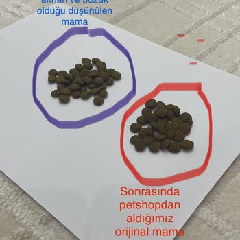 Farmina N&D Kedi Maması Bozuk Çıktı