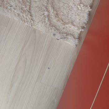 PHILIPS Ev Aletleri Philips Robot Süpürge