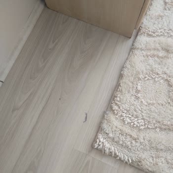 PHILIPS Ev Aletleri Philips Robot Süpürge