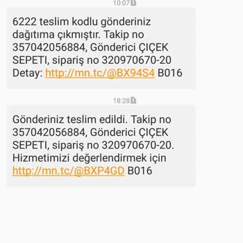 MNG Kargo Teslimatımı Teslim Etmedi.