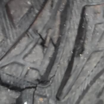 Scooter Ayakkabı Scooter Bot Ta Taban Kendiliğinden Ufalanıyor