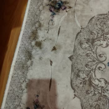 İlkbahar Halı Yıkama (İstanbul) Halı Yıkama Hizmetinden Memnuniyetsizlik