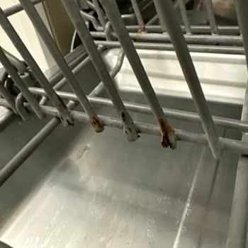 Teka Paslanma Ve Renk Değişimi