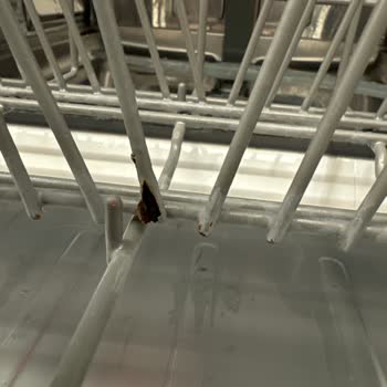 Teka Paslanma Ve Renk Değişimi