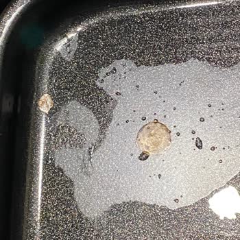 Yui M30 Maxifry Airfryer