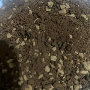 BİM Vip Claşsiç Kahve Böcek