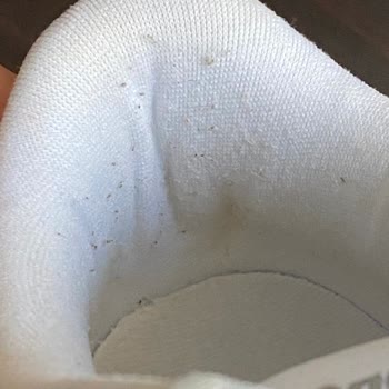 FLO Ayakkabı Reebok Marka Kullanılmış Ürün