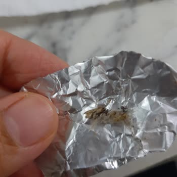Carrefour SA Toblerone Bitter Çikolata Paketinden Güve Çıktı