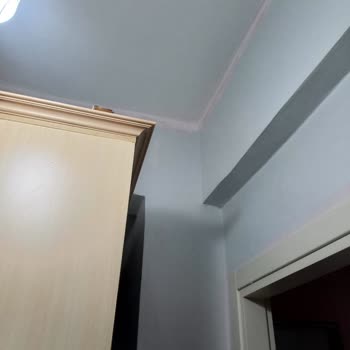 Polisan Mistik Beyaz Renk Uyuşmazlığı